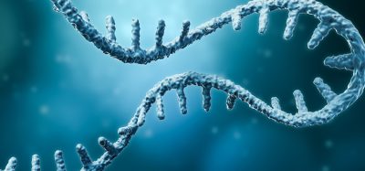 Messenger RNA or mRNA strand 3D rendering illustration with copy space. Genetics, science, medical research, genome replication concepts.