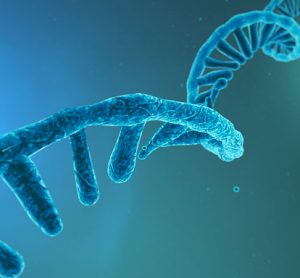 RNA protein
