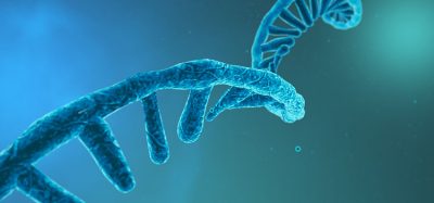 RNA protein