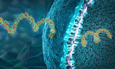 RNA Processing 