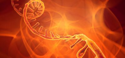 RNA and synthetic biology