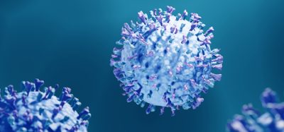 Respiratory syncytial viruses (RSV) causing respiratory infections, 3d illustration