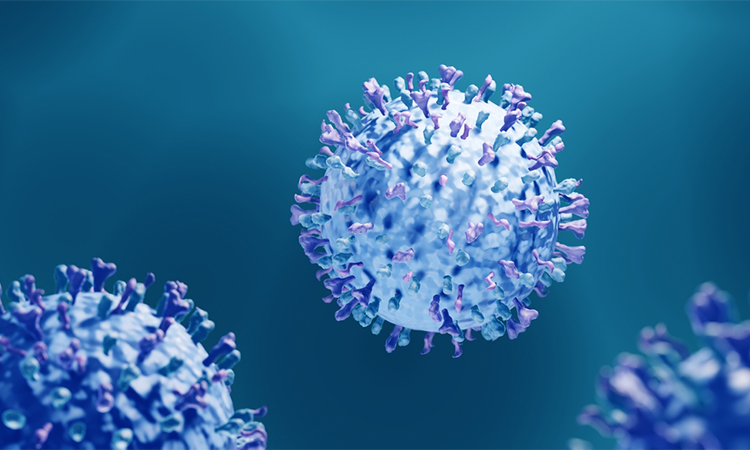 Respiratory syncytial viruses (RSV) causing respiratory infections, 3d illustration