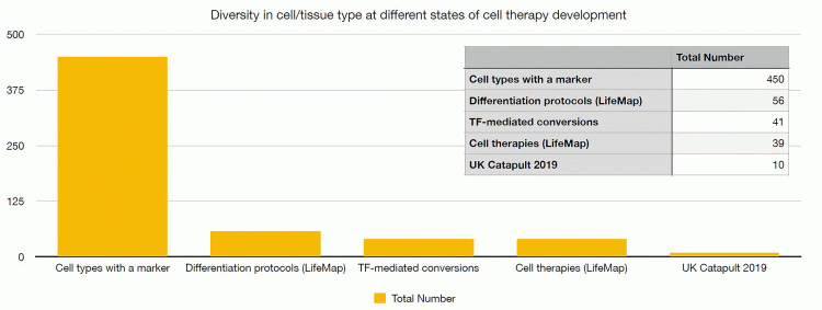 Figure 1: The breadth of cell/tissue types at various stages of cell therapy development. Only a small proportion of known cell types can be generated through differentiation or transdifferentiation and substantially less cell types are being used or developed as cell therapies. The data is taken from the LifeMap resource on differentiation protocols,18 a review of transcription factor (TF)-mediated conversion,19 the LifeMap resource on cell therapies18 and the UK Cell Therapy Catapult survey of clinical trials 2019.10