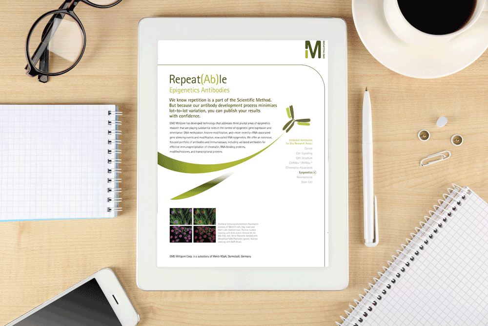 Repeat(Ab)le-–-Epigenetics-Antibodies