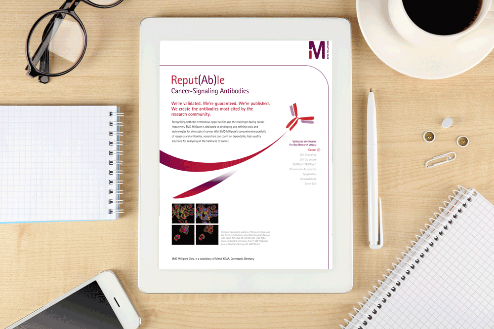 Reput(Ab)le-–-Cancer-Signaling-Antibodies