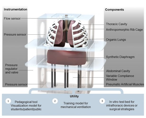 design of the simulator