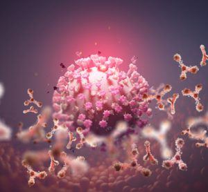 SARS-CoV-2 and antibodies