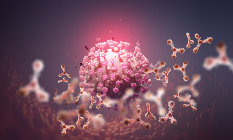 SARS-CoV-2 and antibodies