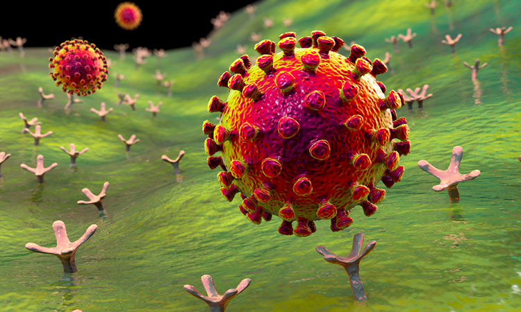 Human cells can be used to test drugs
