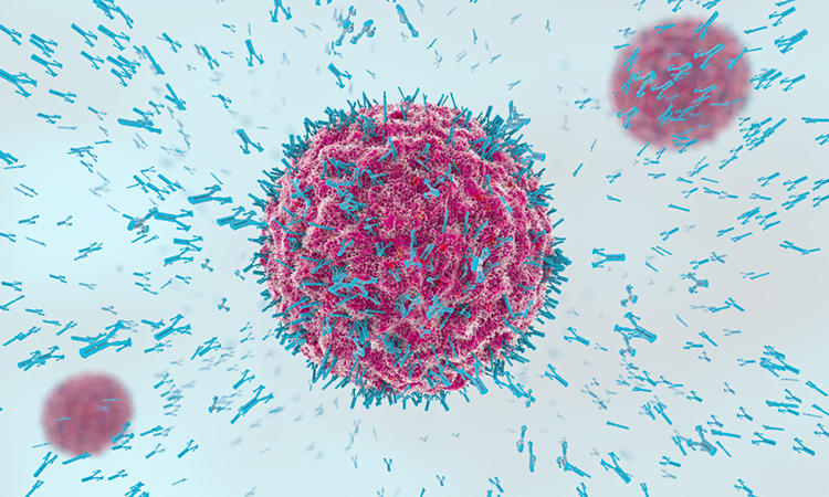 SARS-CoV-2 and antibodies