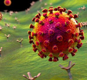 SARS-CoV-2 virus