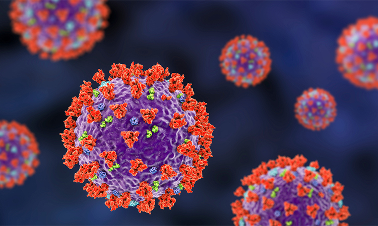 SARS-CoV-2, the coronavirus that causes COVID-19, 3D illustration shows surface spikes of the virus Glycoprotein S (red), M-protein (light green), E-protein (blue)