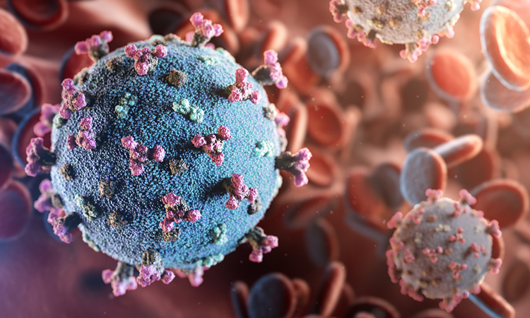 SARS-CoV-2 viral particle (which causes COVID-19) circulating in the blood