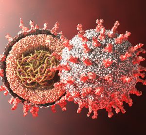 SARS-CoV-2 synonymous sites