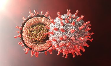 SARS-CoV-2 synonymous sites