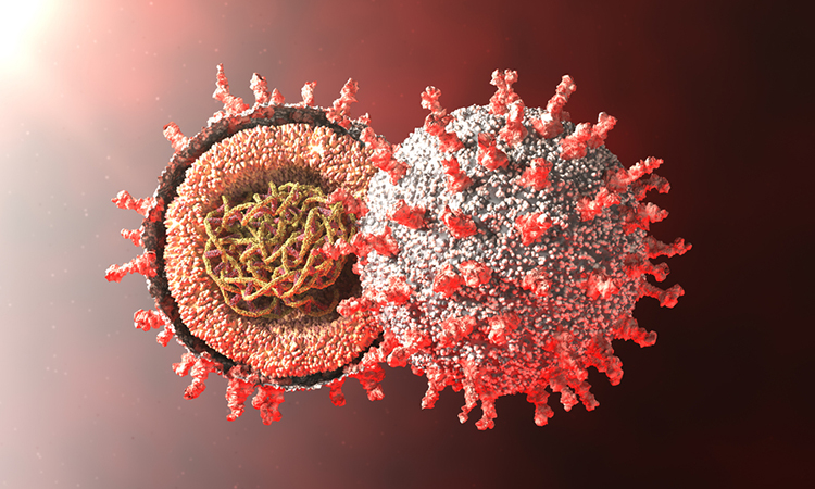 SARS-CoV-2 synonymous sites