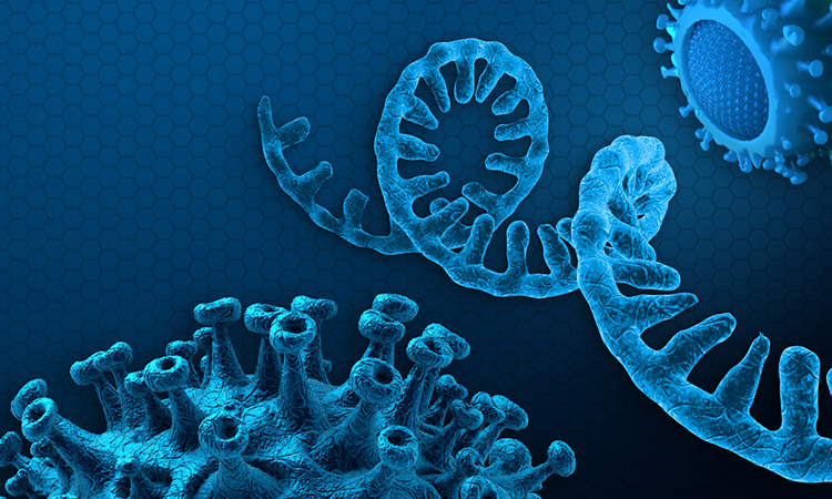 SARS-CoV-2 and RNA