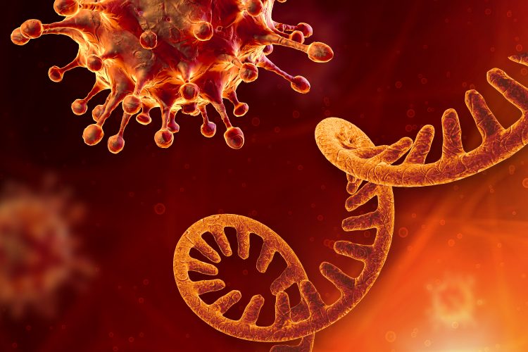 SARS-CoV-2 viral particle next to a single RNA strand