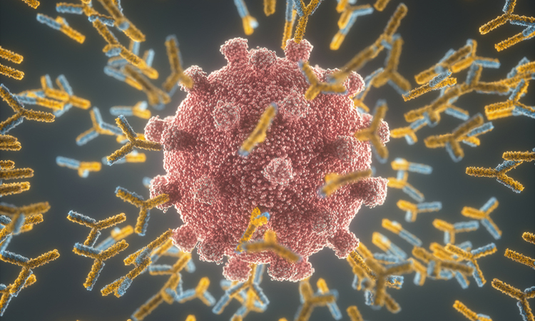 COVID-19 antibodies