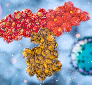 SARS-CoV-2 antibodies