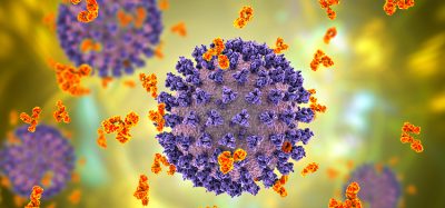 SARS-CoV-2 antibodies