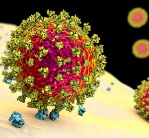 SARS-CoV-2 particle in red with yellow surface proteins binding to a blue cell surface resceptor