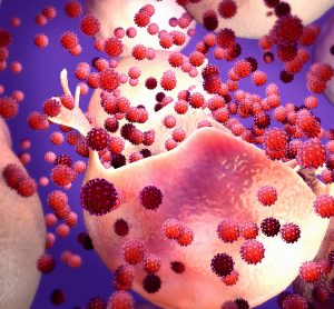 red viruses pouring out of pink human cell
