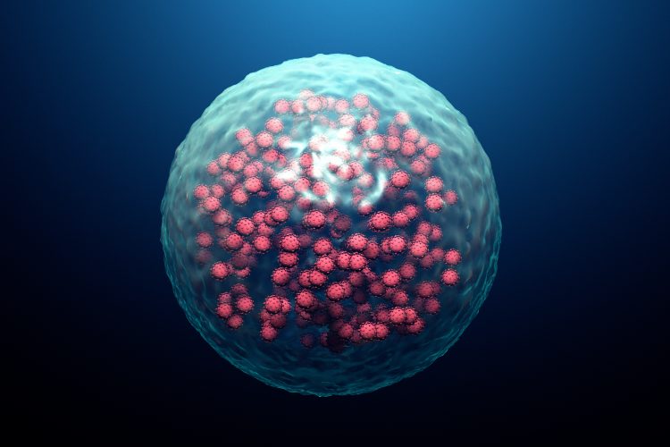 Cell infected with red coronavirus particles