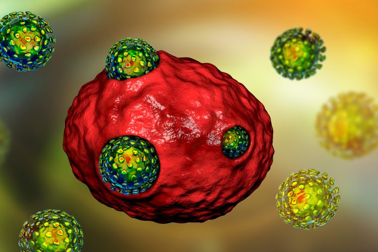 SARS-CoV-2 particles infecting a human cell