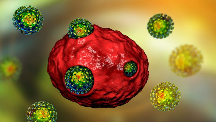 SARS-CoV-2 particles infecting a human cell