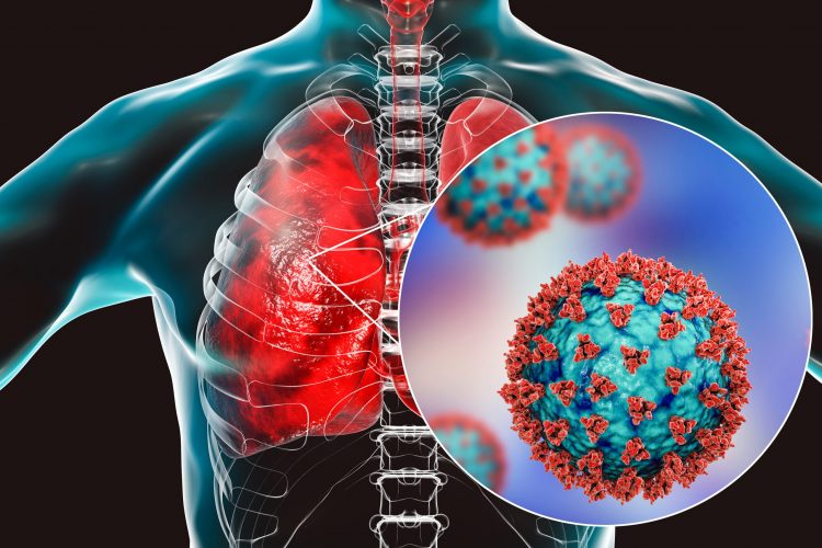 Lungs with a cutaway closeup of a SARS-CoV-2 particle in blue with red cell surface proteins