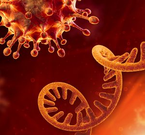 SARS-CoV-2 particle next to an RNA strand, all in orange on a darker orange to black gradient background