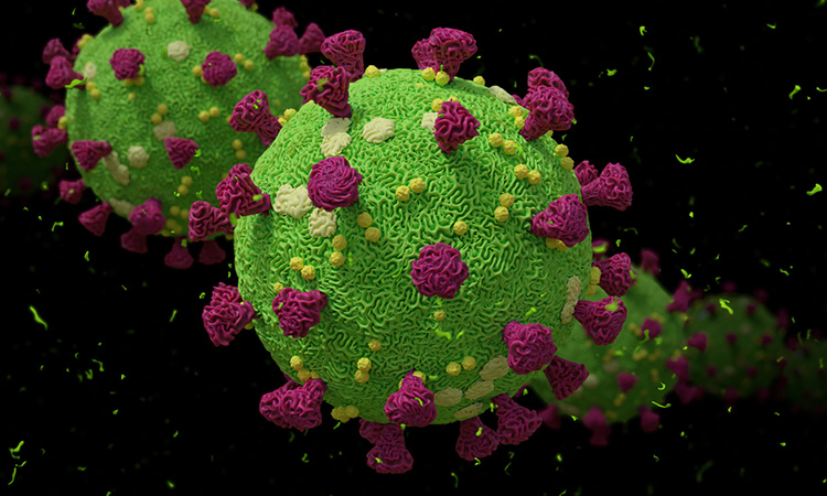 COVID-19 or coronavirus vaccine