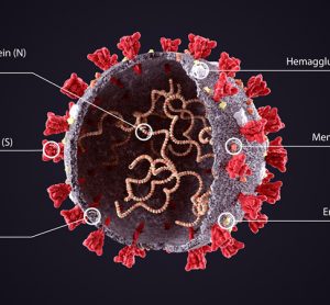 SARS-CoV-2 proteins