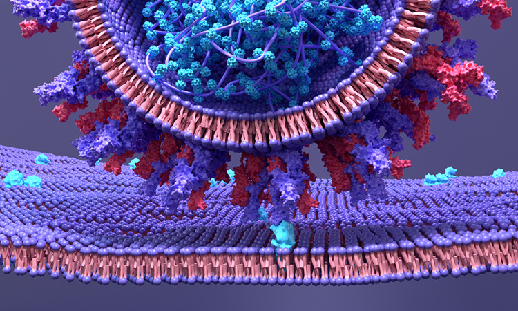 SARS-CoV-2 sequencing