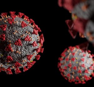 SARS-CoV-2 particles in grey and red - SARS-CoV-2 is the virus that causes COVID-19