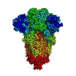 SARS-CoV-2 Spike protein