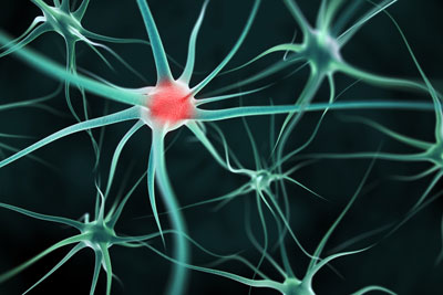 SMA study image