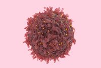 Single cancer cells in lab grown tumours analysed with new technology
