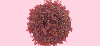 Single cancer cells in lab grown tumours analysed with new technology