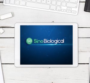 Sino Biological Video