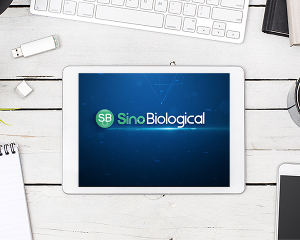 Sino Biological Video