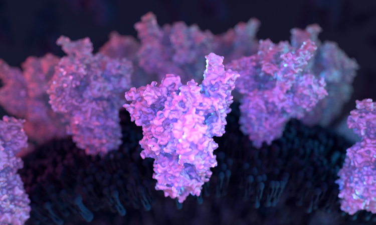 SARS-CoV-2 Spike protein