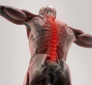 anatomy of the back of a person witht he spine highlighted in glowing red - idea of spinal injury