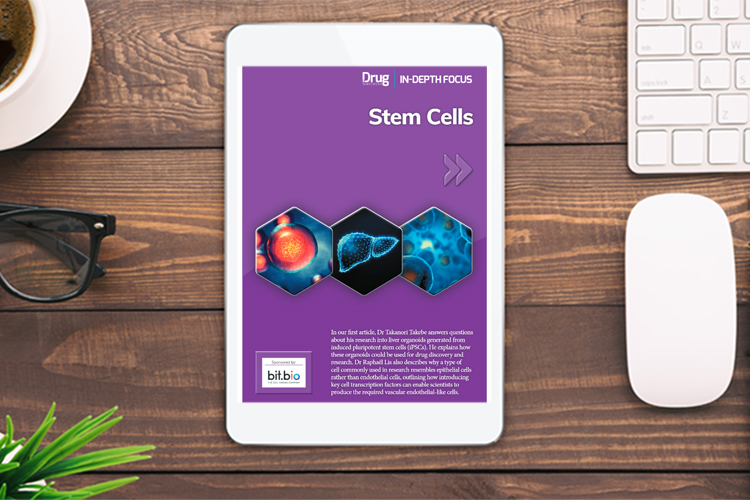 Stem Cells