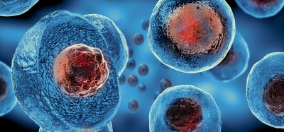 Stem cells and genes