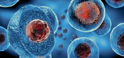stem cells