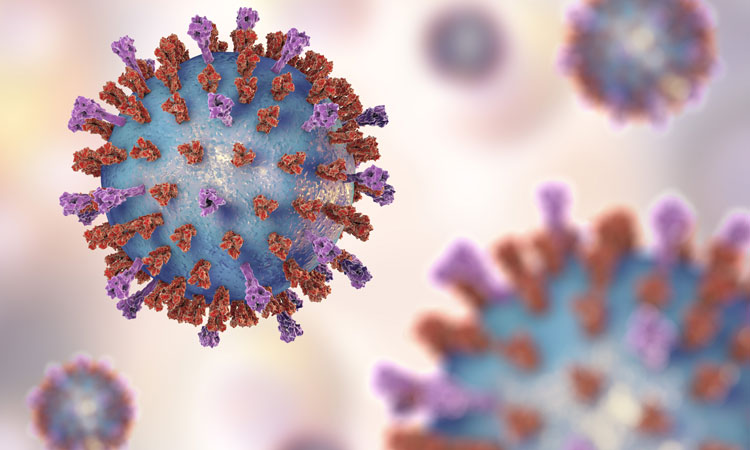 bacterial pneumonia cell