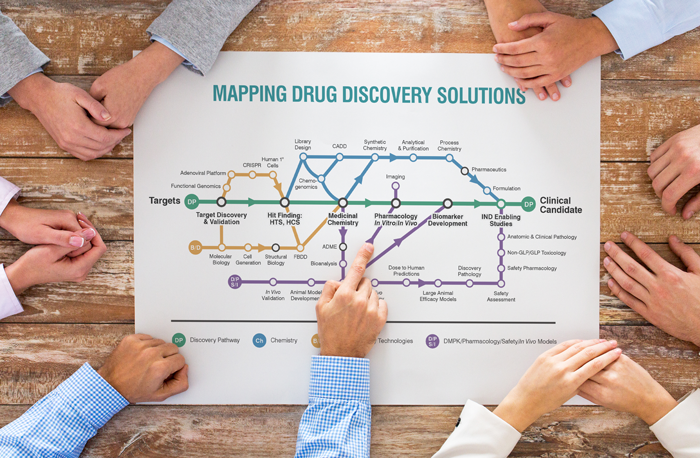 Collaborations in Early Drug Discovery